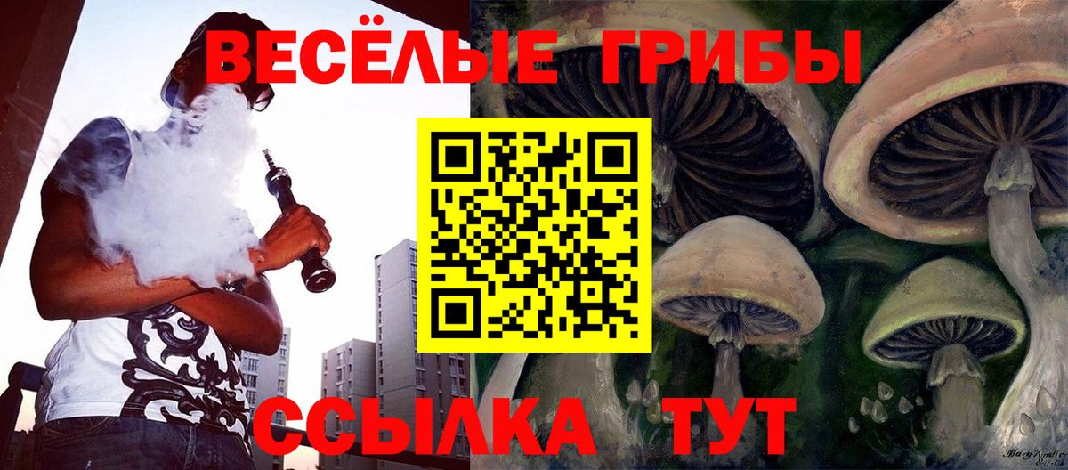 Глазов  Псилоцибиновые грибы ЛСД  Вход с VPN 