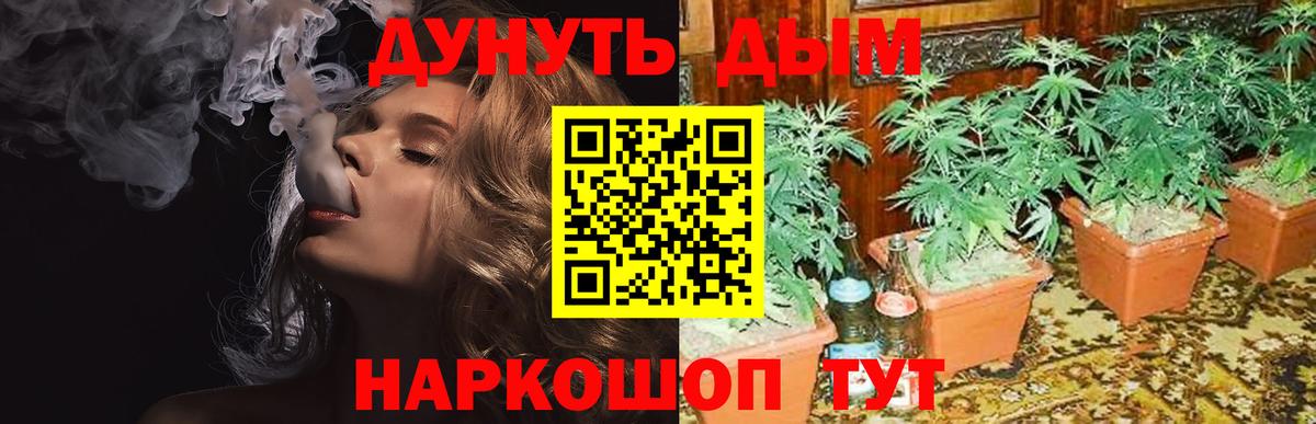 Каннабис Bruce Banner Глазов